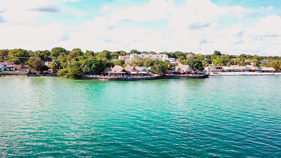 Walking Tour and Street Food in Calderitas Mexico - Key Points