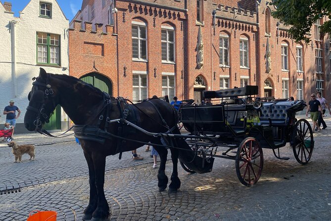 Walking Tour Bruges: Exciting Stories, Mysteries, People - Navigating the Meeting Point