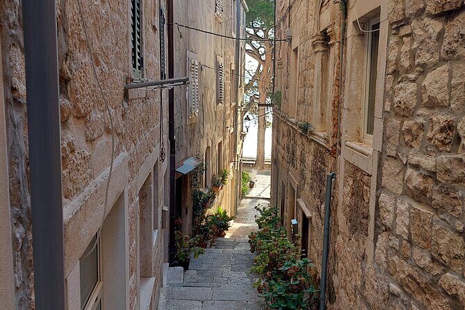 Walking Tour in old town Korcula 1 Hour - The Sum Up: Who Will Appreciate This Tour?