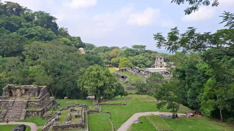 Walking tour in the archaeological site and jungle of Palenque - Final Thoughts: Is This Tour Worth It?