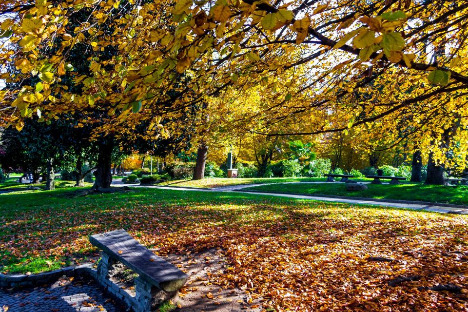 Walking Tour of Valentino Park - the Monumental Trees - Discovering the 6 Trees