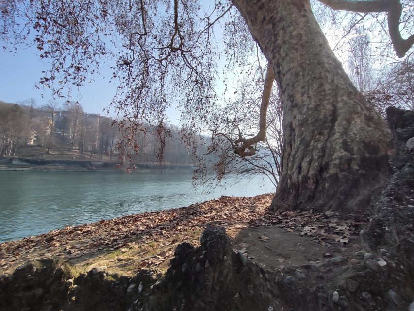 Walking Tour of Valentino Park - the Monumental Trees - Frequently Asked Questions