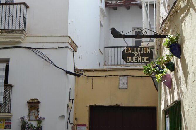 Walking Tour through Cádiz: Stories from the hand of a local guide - Practical details and tips