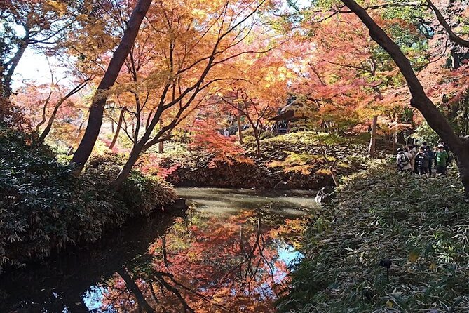 Walking Tour, Tokyo Great Buddha, Botanical Garden, Etc. - Good To Know