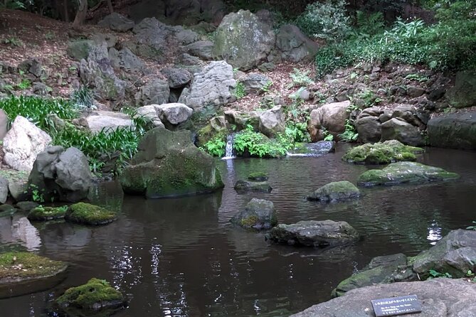 Walking Tour, Tokyo Great Buddha, Botanical Garden, Etc. - Meeting and Pickup