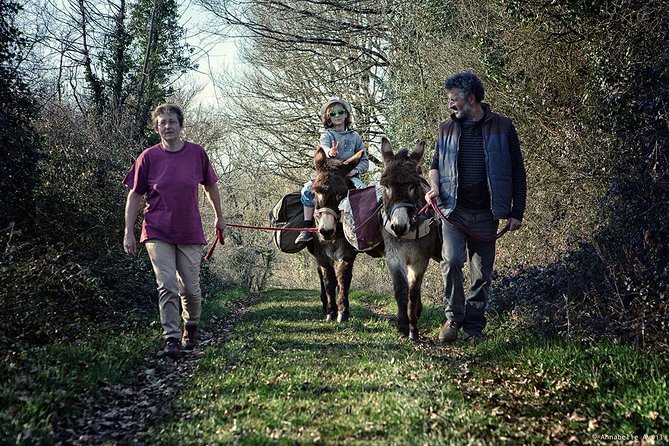 Walks and Hikes With Donkeys - Booking Information