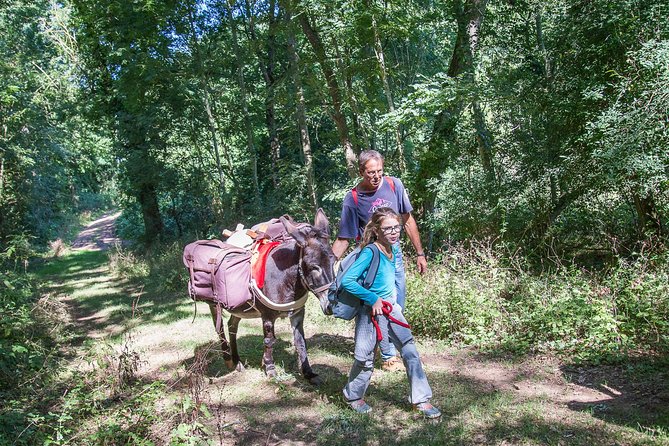 Walks and Hikes With Donkeys - Customizable Excursions