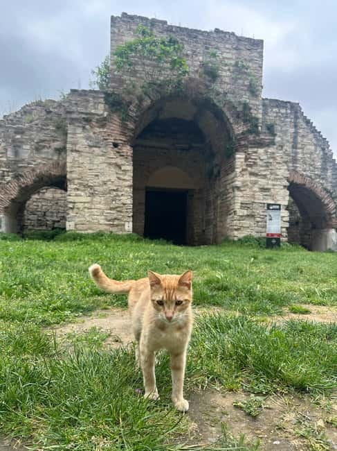 Walls of Contantinople and Blachernea Palace Tour - FAQ