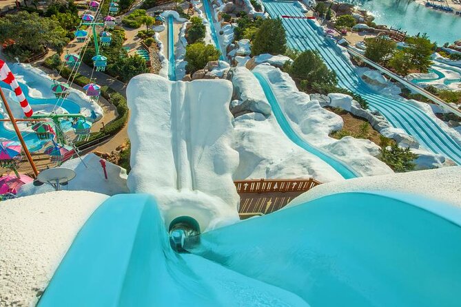 Walt Disney World Admission Review: Is It Worth It - Customer Reviews and Ratings