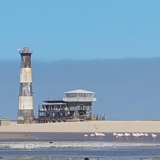 Walvis Bay: Catamaran Cruise and Sandwich Harbour Tour - The Bottom Line