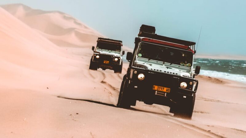 Walvis Bay: Dolphin Cruise, Pink Lakes and 4x4 Dune Drive - Authentic Reviews and Guest Experiences