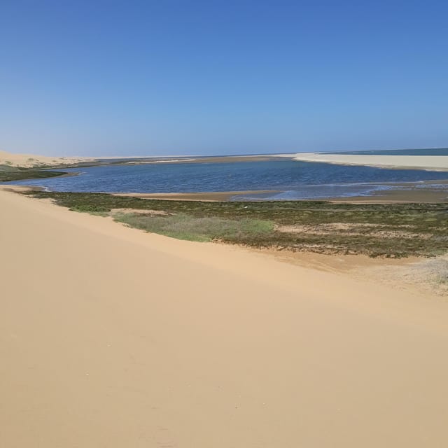 Walvis Bay: Kayaking and Sandwich Harbour Full-Day Tour - The Sum Up: Who Is This Tour Best For?