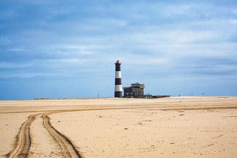 Walvis Bay : Pelican Point Birding and Cape Fur seal tour - Key Points 