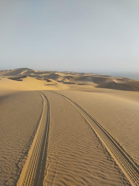 Walvis Bay: Scenic Sandwich Harbour Tour - Frequently Asked Questions