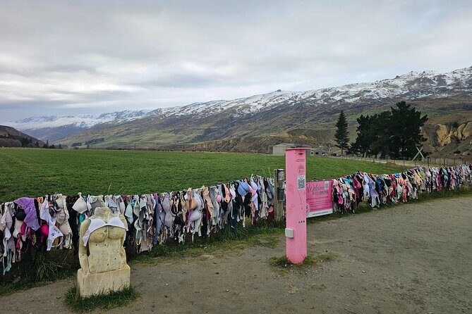 Wanaka Private Day Trip from Queenstown: TravelnGo - An In-Depth Look at What This Tour Offers