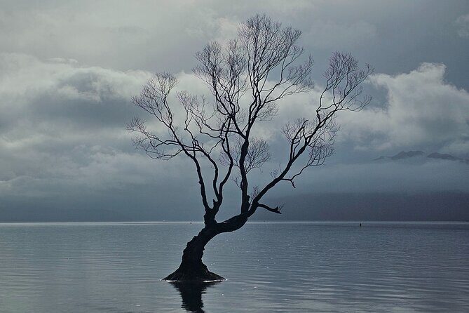 Wanaka Private Day Trip from Queenstown: TravelnGo - Who Should Consider This Tour?