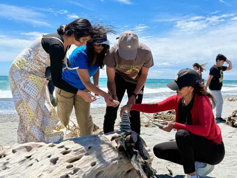 Wanaka to Franz Josef Small Group 1 Way Tour with Lunch - Analyzing the Value