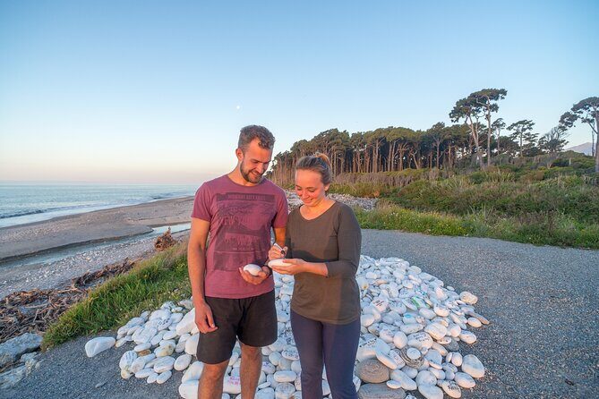 Wanaka to Franz Josef Small-Group Tour (One Way) Includes Lunch - Final Thoughts: Is It Worth It?