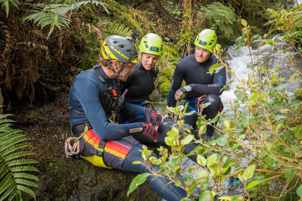 Wanaka: Waterfall Climb and Canyon Tour - Customer Reviews