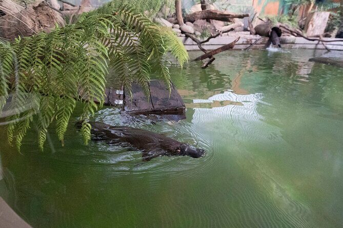 Wander the Tamar Valley - What Travelers Say