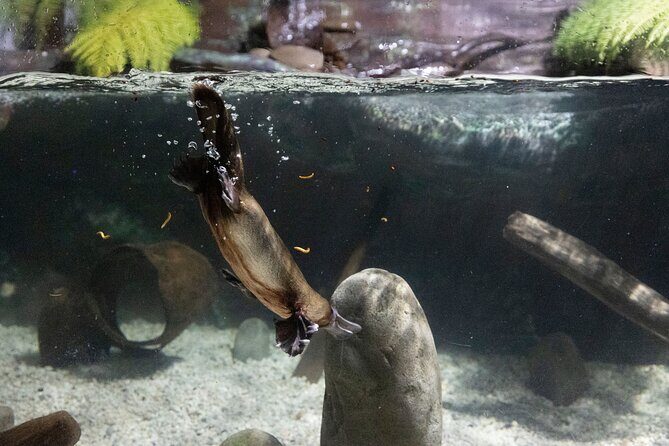 Wander the Tamar Valley - Final Thoughts