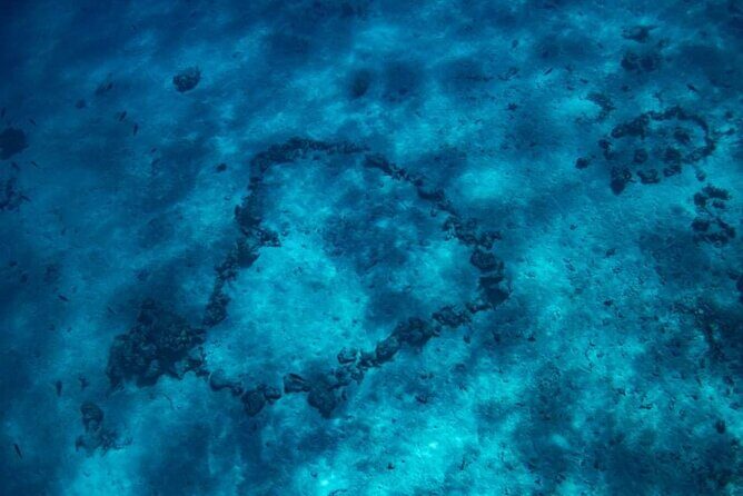 Want to escape? Treat yourself to a snorkeling session in Tahiti! - FAQ