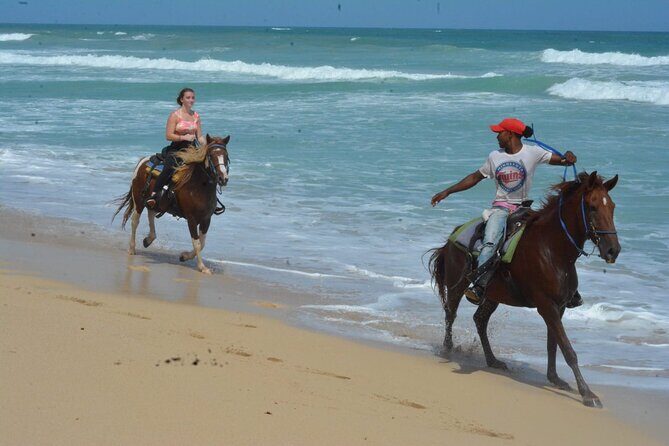 Want to Learn to Gallop at Bavaro Punta Cana Beach! - Who Will Love This Tour?