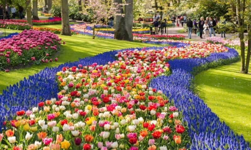 Warmond: Windmill Cruise and Keukenhof Entry Ticket - Warmond: Windmill Cruise and Keukenhof Entry Ticket – A Detailed Look