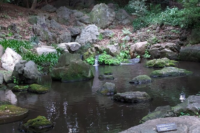 Wash Bodhisattva and Explore Japanese Garden, Tokyo. - Experience Feedback
