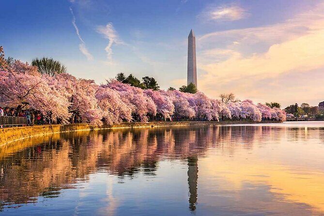 Washington D.C. Cherry Blossom,Baltimore 3-Day Tour from Boston - Key Points