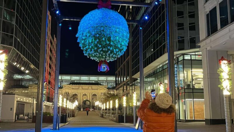 Washington, DC: Christmas Tree & Holiday Lights Bus Tour - An In-Depth Look at the Tour Experience