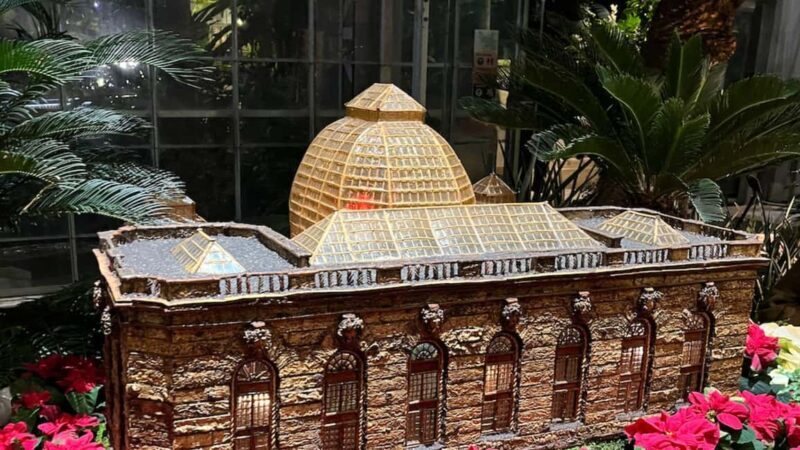 Washington, DC: Christmas Tree & Holiday Lights Bus Tour - Why This Tour Offers Good Value