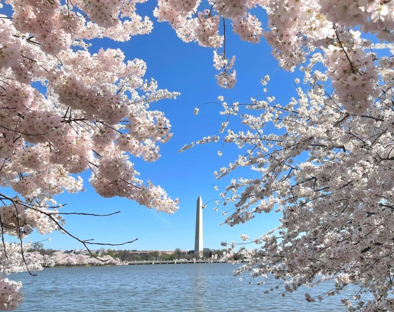 Washington DC: City Sightseeing Private Limousine Tour - Visiting the Presidential Sites