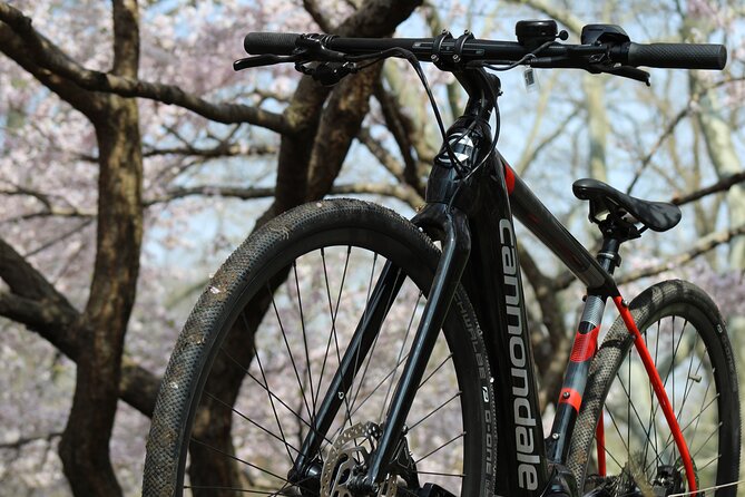 Washington DC Ebike Rentals - Planning Your DC Bike Tour