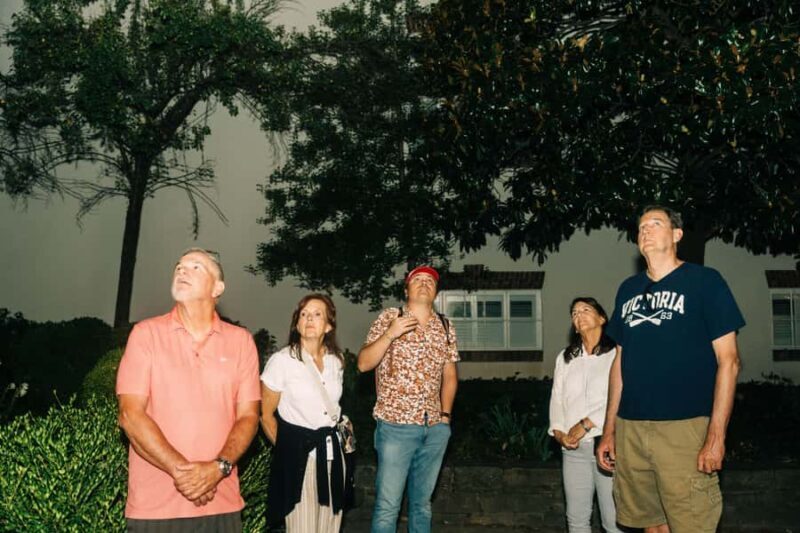 Washington DC: Georgetown Spies and Ghosts Walking Tour - Authentic Experiences and Insights from Reviews