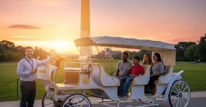 Washington DC Monuments Guided Carriage Tour - The Ride and Transportation