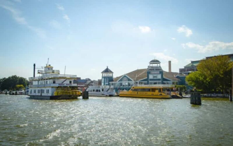 Washington DC: Mount Vernon & Old Town Alexandria Tour - Who Should Consider This Tour?