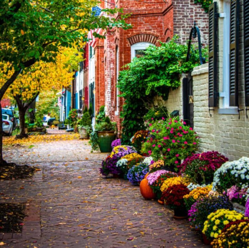 Washington DC: Mount Vernon & Old Town Alexandria Tour - Final Thoughts