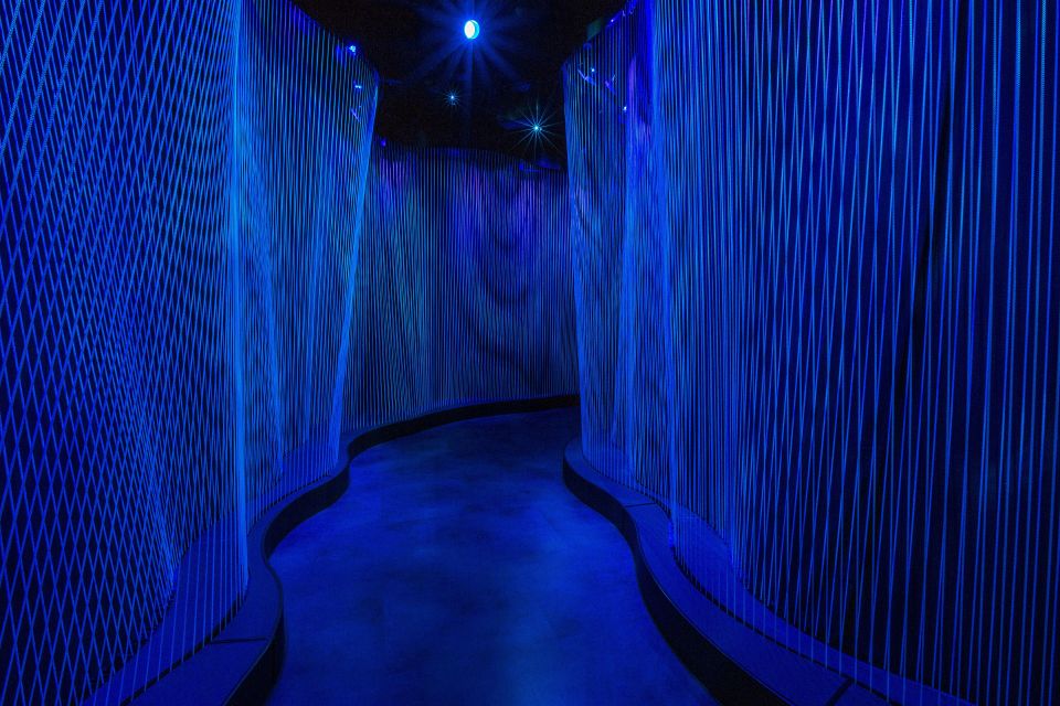 Washington DC: Museum of the Bible General Admission - Significant Narratives in the Hebrew Bible