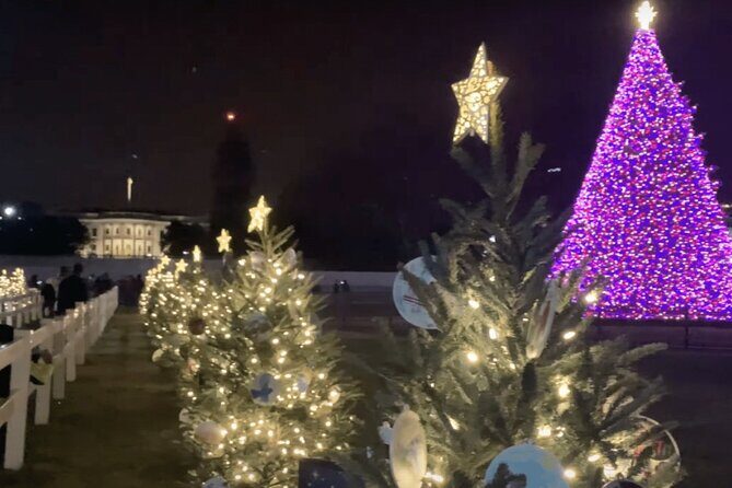 Washington, DC: National Christmas Tree & Holiday Lights Bus Tour - Key Points