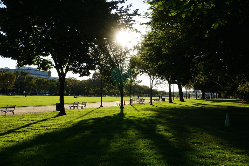 Washington DC: National Mall Walking Tour - Guided Tour Experience