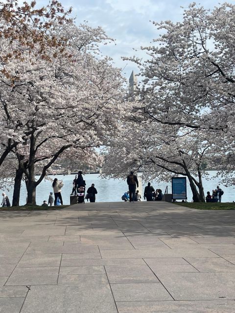 Washington DC: Private Half-Day Sightseeing Tour - Cancellation Policy