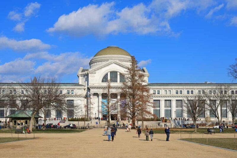 Washington DC Smithsonian Natural History Private Tour - The Sum Up: Is This Tour Right for You?