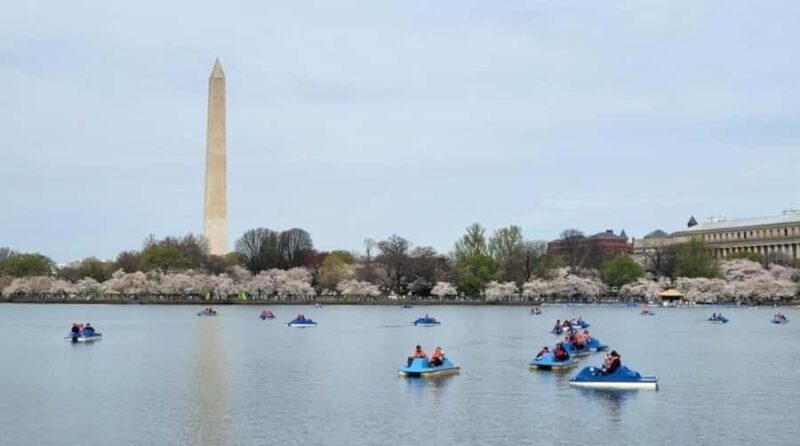 Washington DC: Tidal Basin Pedal Boat Rental - Who Should Consider This Experience?