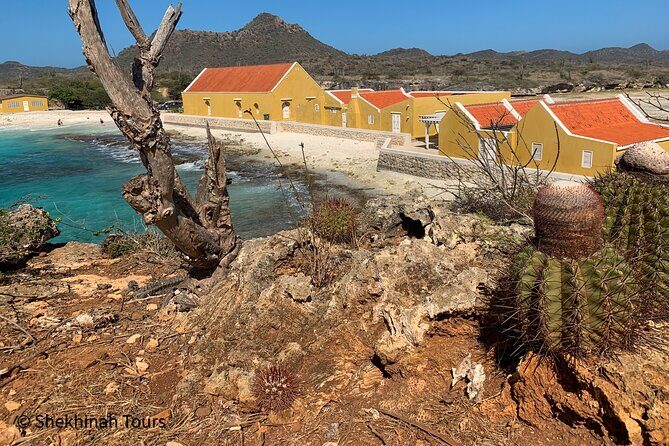 Washington Park Tour with Local Guide on Bonaire - Key Points