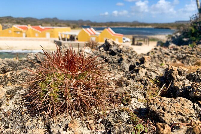 Washington Park Tour with Local Guide on Bonaire - The Itinerary: What’s Included and What to Expect