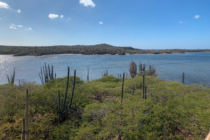 Washington Park Tour with Local Guide on Bonaire - Considerations Based on Reviews