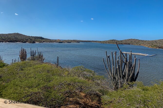 Washington Park Tour With Local Guide on Bonaire - Included Amenities and Services