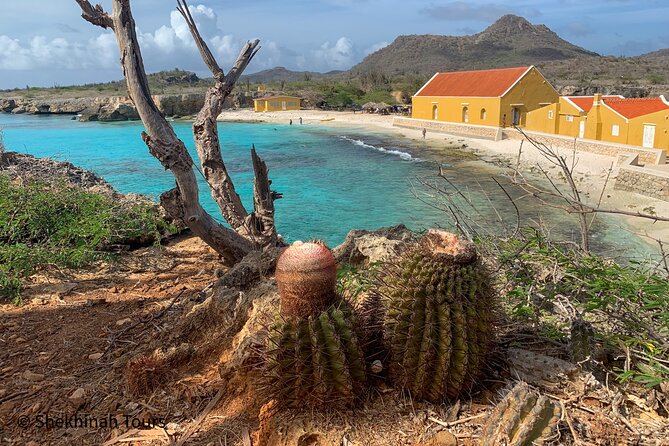 Washington Park Tour With Local Guide on Bonaire - Important Visitor Information