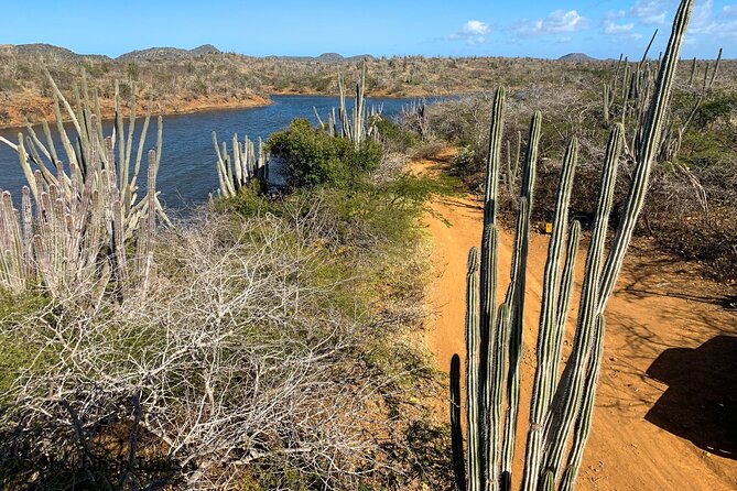 Washington Park Tour With Local Guide on Bonaire - Pickup and Meeting Arrangements